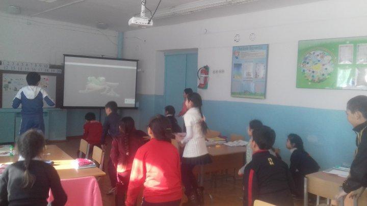 Ашық сабақтар