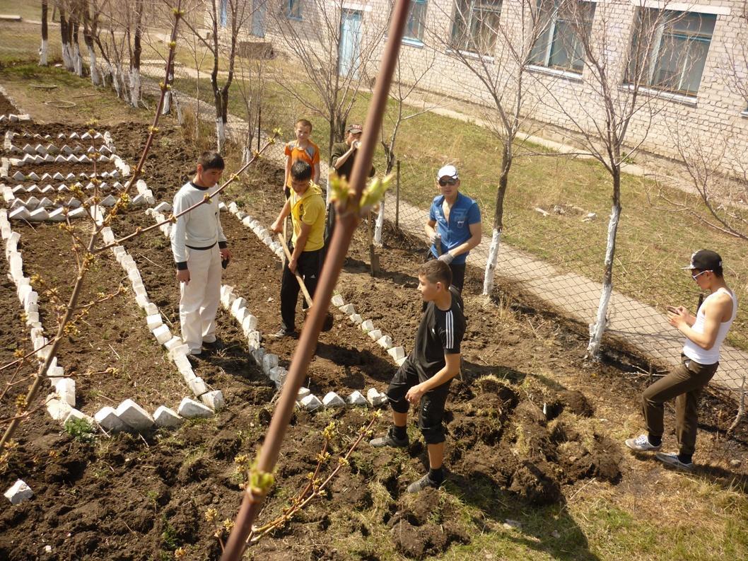 мектеп ауласына тазалық жүргізу, ағаш көшеттерін отырғызу шарасы