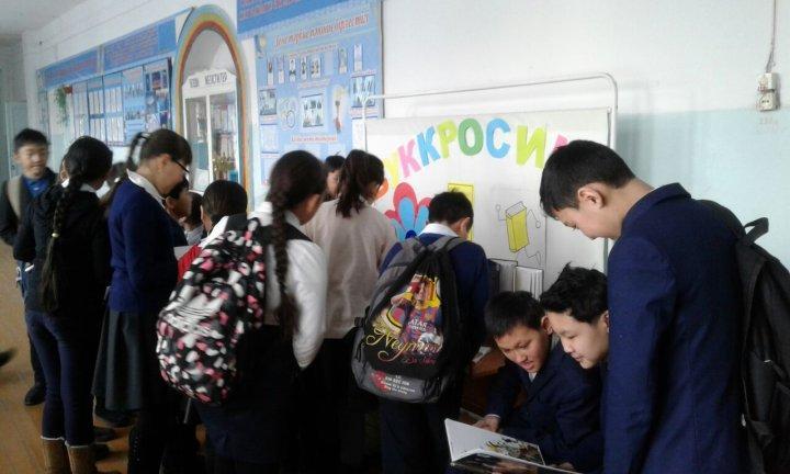 Буккросинг