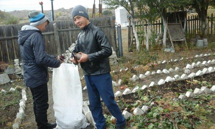 Үлескідегі күзгі жұмыстар